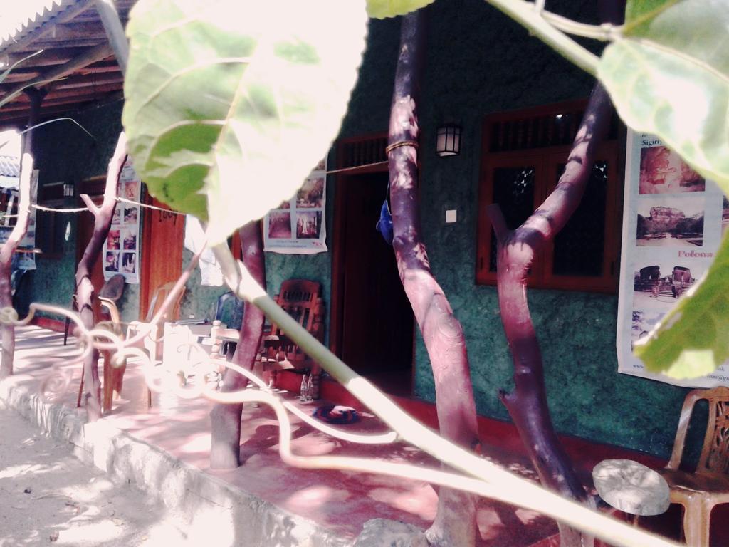 דמבולה Bluesky Guest House מראה חיצוני תמונה